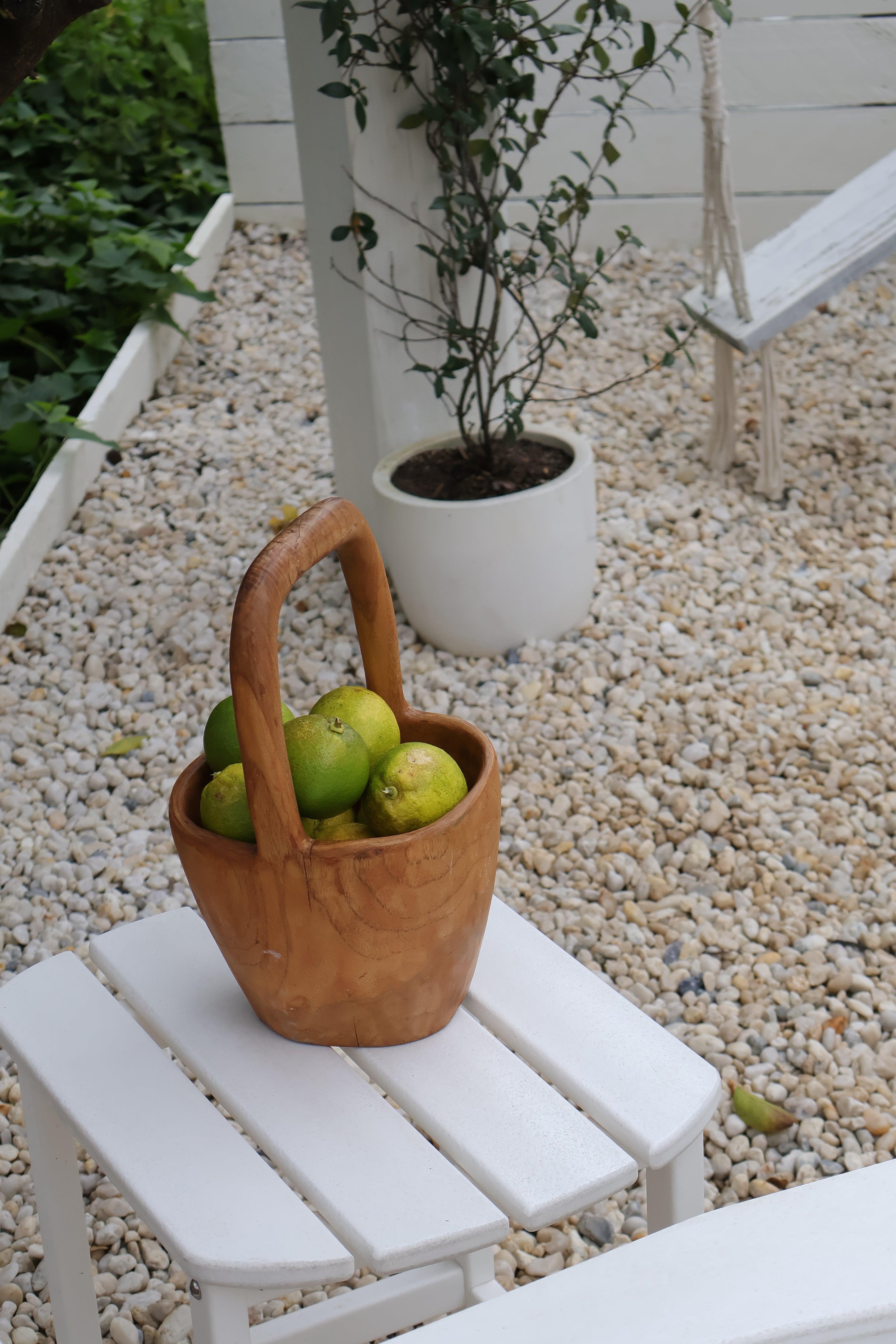 Basket filled with fresh lemons, captured as part of a lifestyle scene for CNTOR the Label activewear branding.